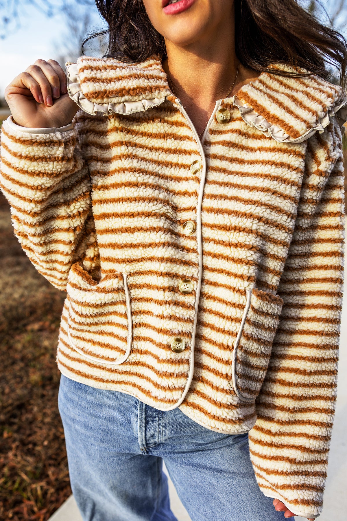 Brown Stripe Striped Fleece Button Front Long Sleeve Regular Fit Jacket Main image