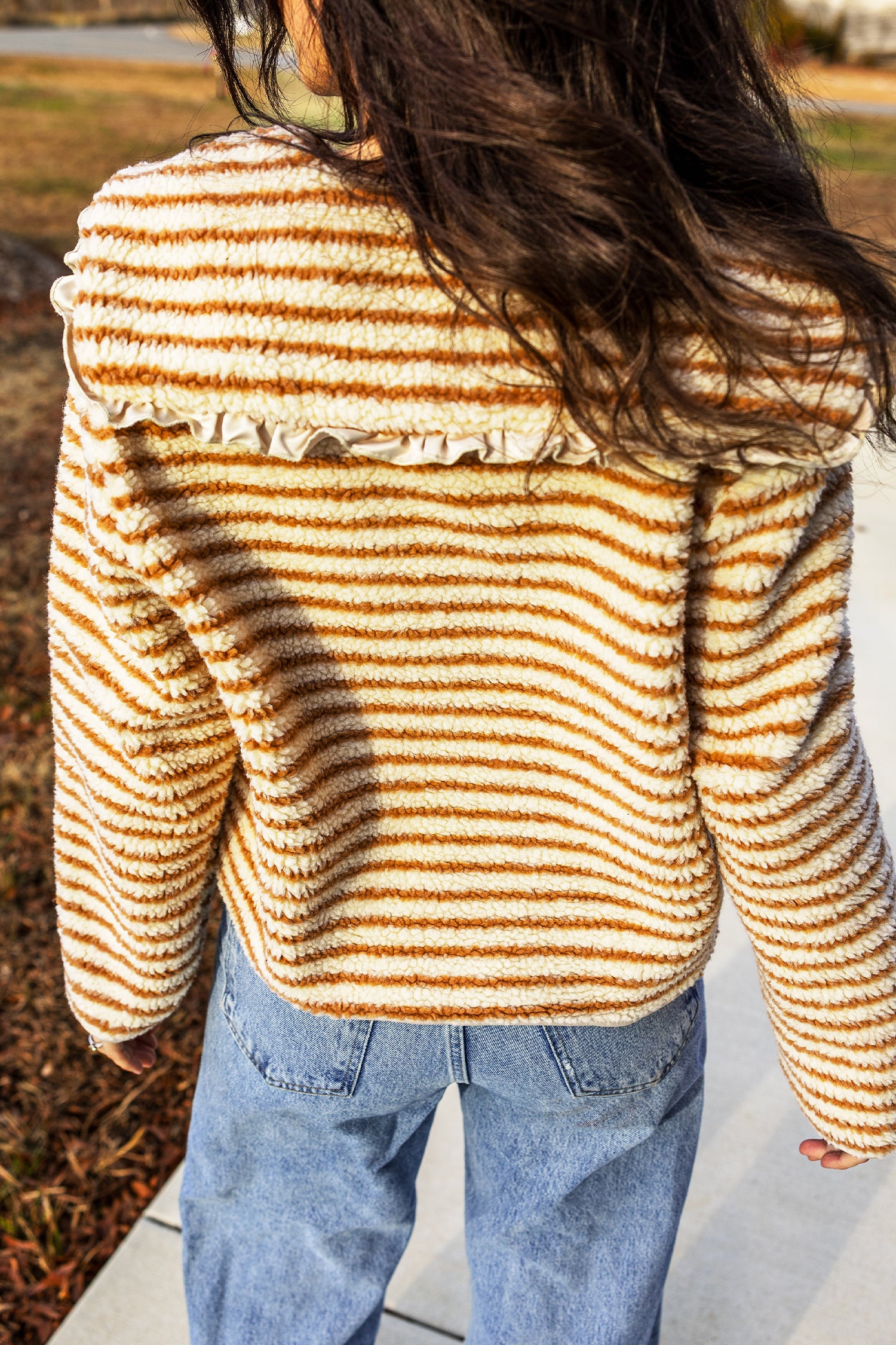 Brown Stripe Striped Fleece Button Front Long Sleeve Regular Fit Jacket Secondary image
